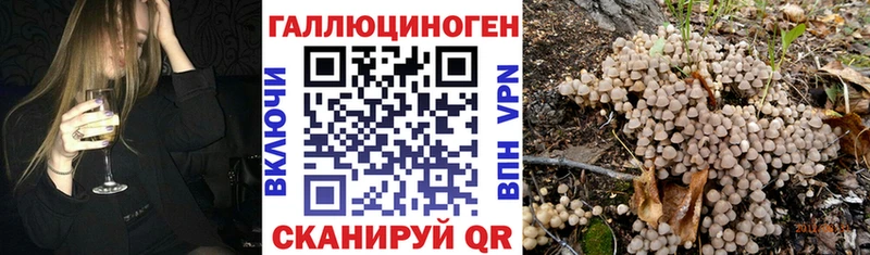 Галлюциногенные грибы мицелий  Петровск 