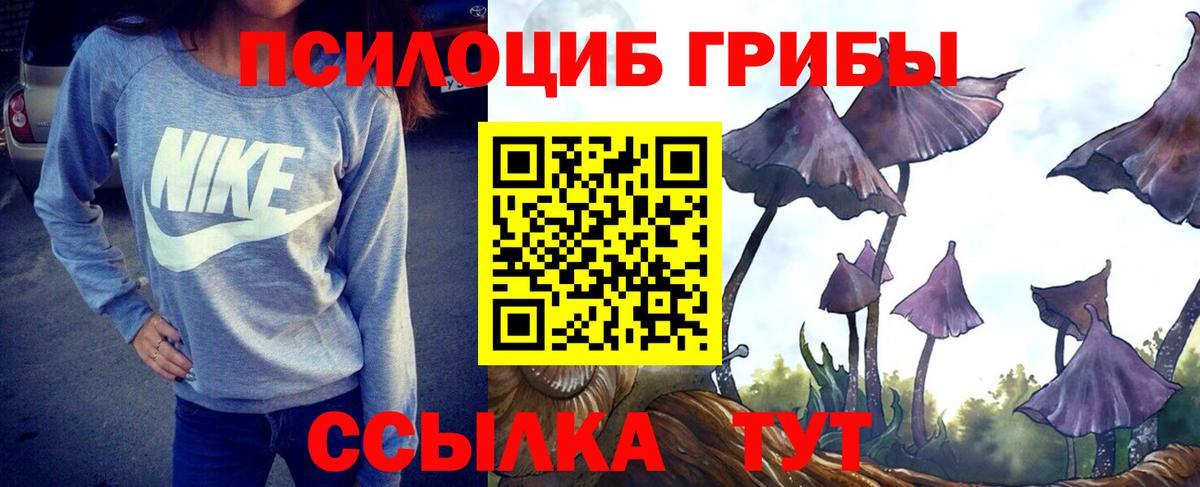 Псилоцибиновые грибы мухоморы Петровск