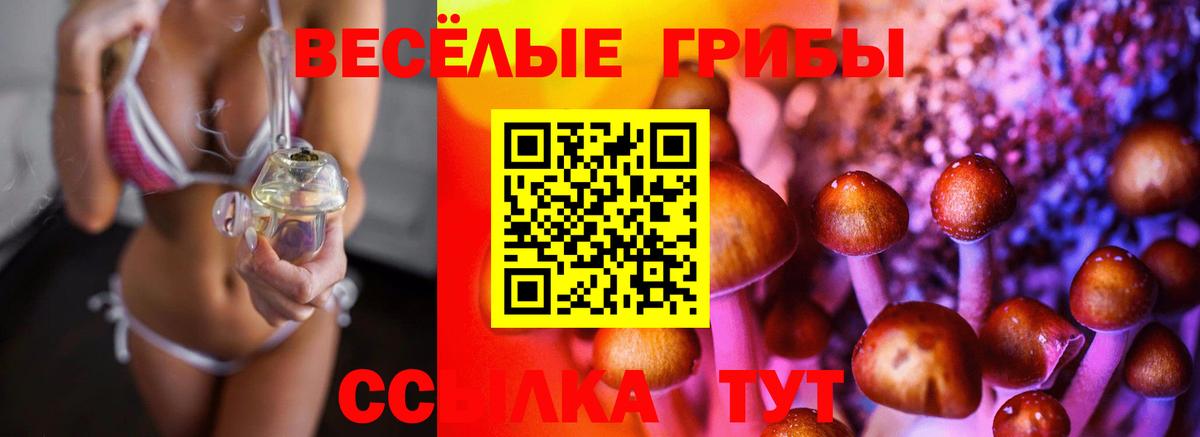 Петровск  Псилоцибиновые грибы Psilocybine cubensis  Вход с VPN 